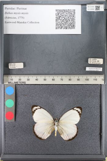 Media type: image;   Entomology 139990